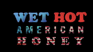 <i>Wet Hot American Honey</i> finds an extremely unlikely common ground